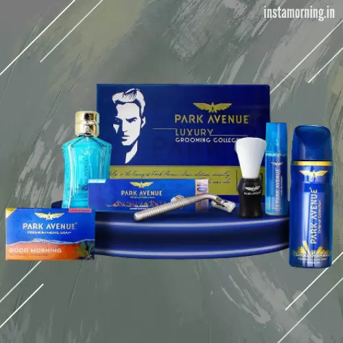 park avenue luxury grooming kit