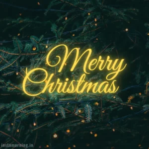 Merry Christmas Wishes For This Holiday Season