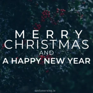 Merry Christmas Wishes For This Holiday Season