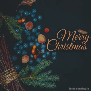 Merry Christmas Wishes For This Holiday Season