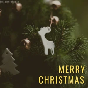 Merry Christmas Wishes For This Holiday Season