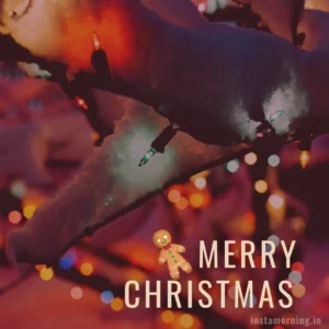 Merry Christmas Wishes For This Holiday Season