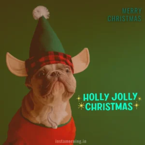 Merry Christmas Wishes For This Holiday Season