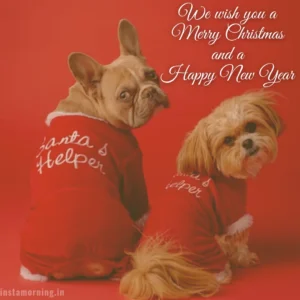 Merry Christmas Wishes For This Holiday Season