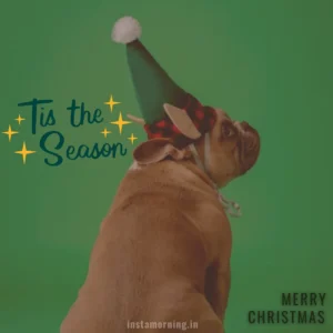 Merry Christmas Wishes For This Holiday Season