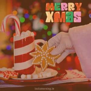 Merry Christmas Wishes For This Holiday Season