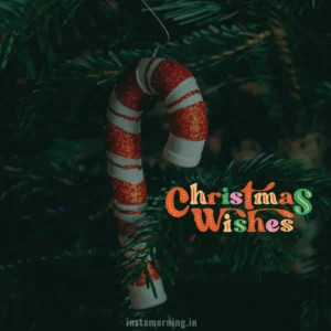 Merry Christmas Wishes For This Holiday Season