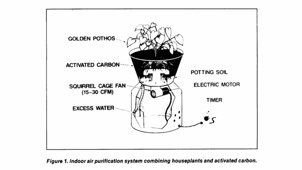nasa plant experiment; nasa study on indoor plants; nasa plants oxygen; nasa plant study; nasa plant oxygen study;