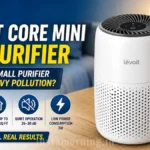levoit core mini air purifier review — can this small purifier handle heavy pollution?